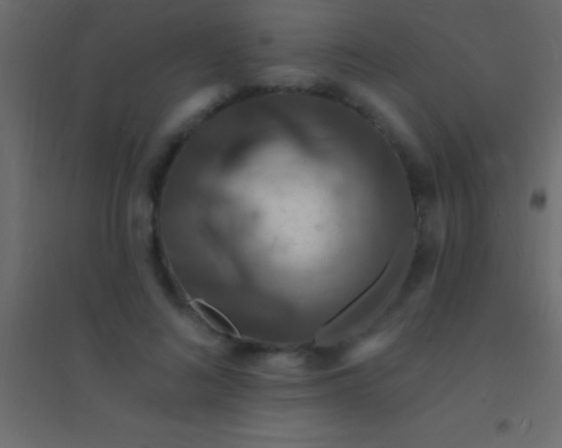 X0000094960692200712131645