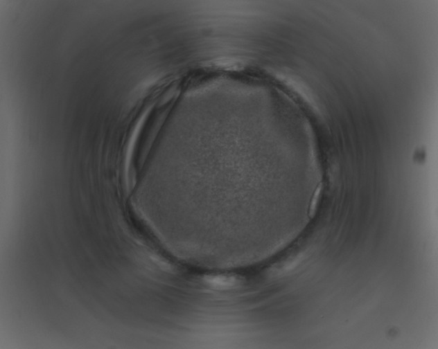 X0000094960693200712131645