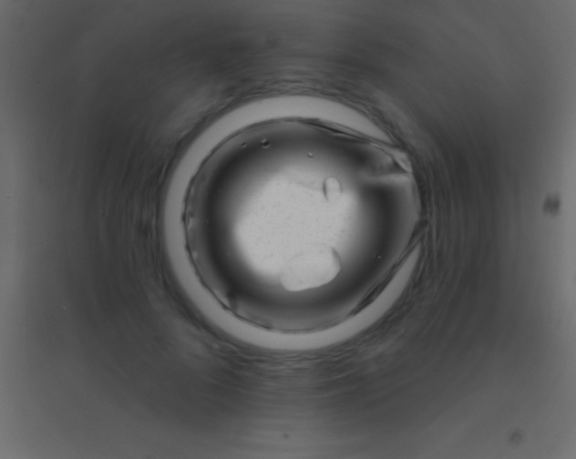 X0000094960696200712131645