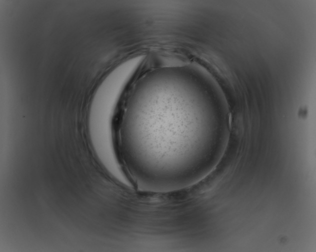 X0000094960697200712131645