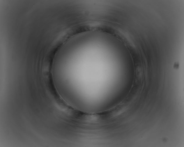 X0000094960698200712131645