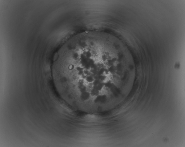 X0000094960699200712131645