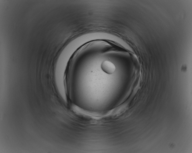 X0000094960700200712131645