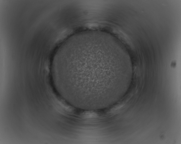 X0000094960702200712131645