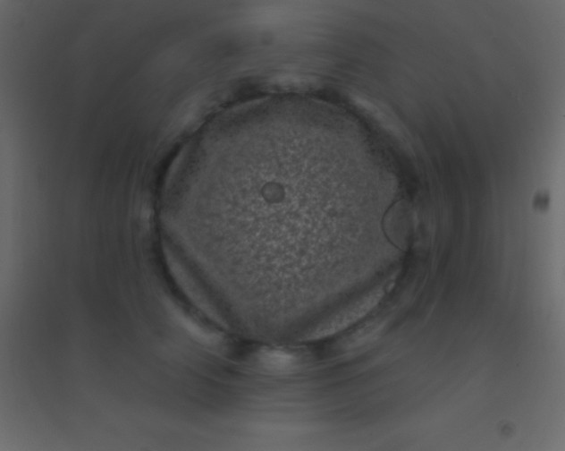 X0000094960706200712131645