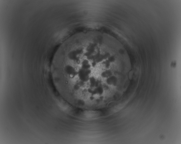 X0000094960707200712131645