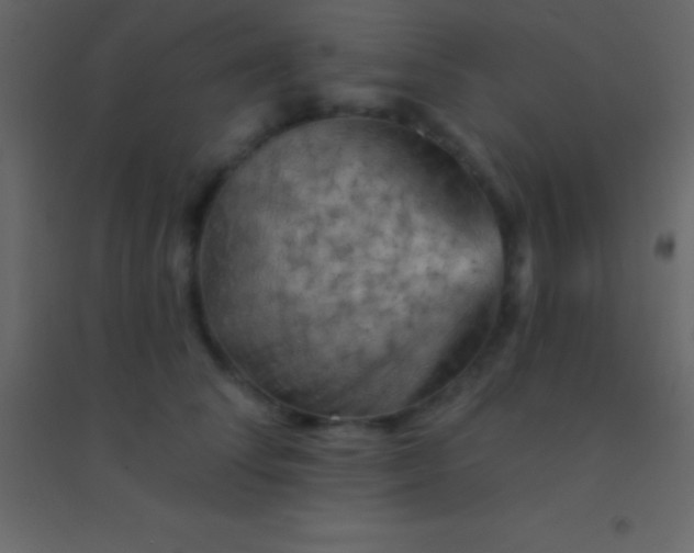 X0000094960708200712131645