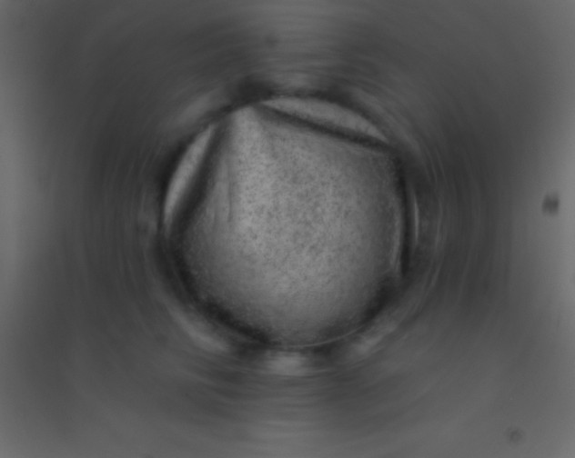 X0000094960710200712131645