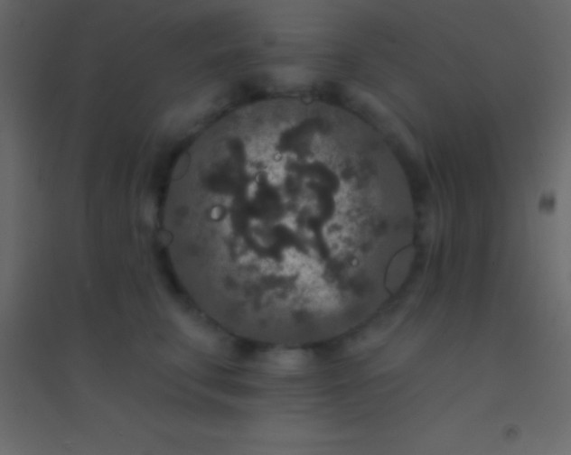 X0000094960711200712131645