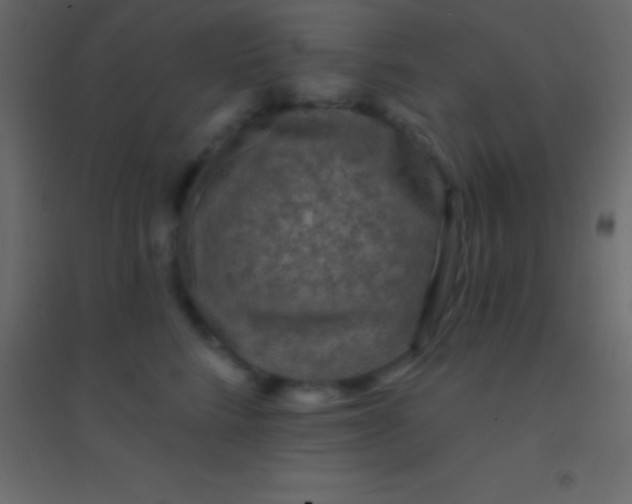 X0000094960712200712131645