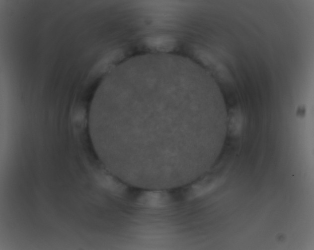 X0000094960713200712131645