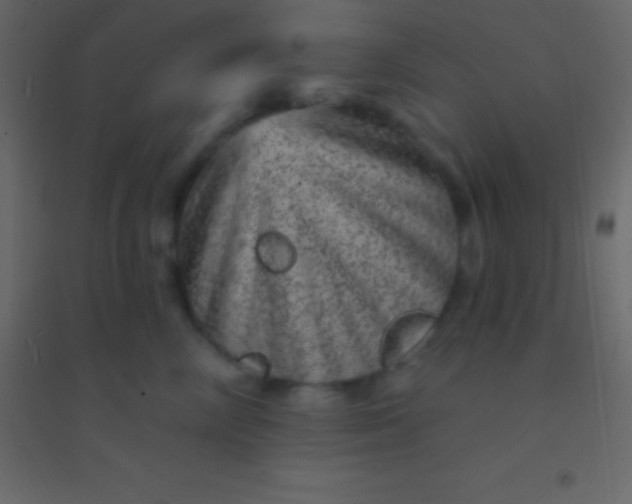 X0000094960714200712131645