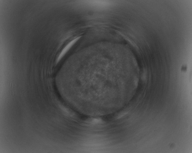 X0000094960715200712131645