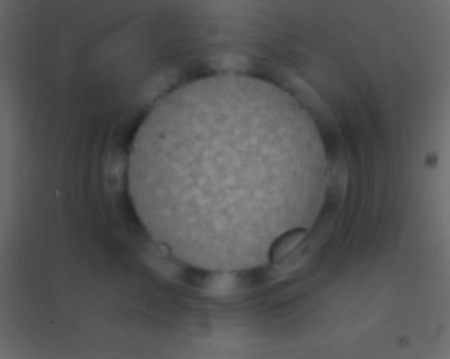 X0000094960717200712131645