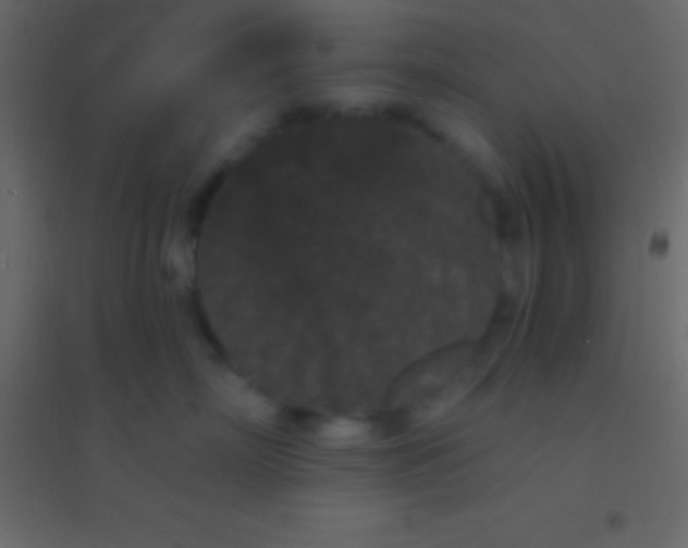 X0000094960718200712131645