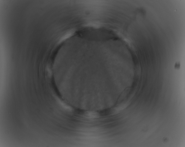 X0000094960719200712131645