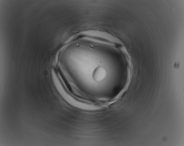 X0000094960720200712131645