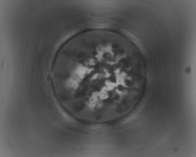 X0000094960721200712131644