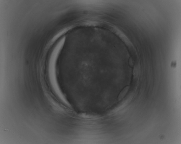 X0000094960722200712131644