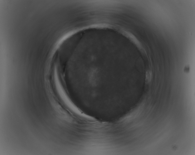 X0000094960724200712131644