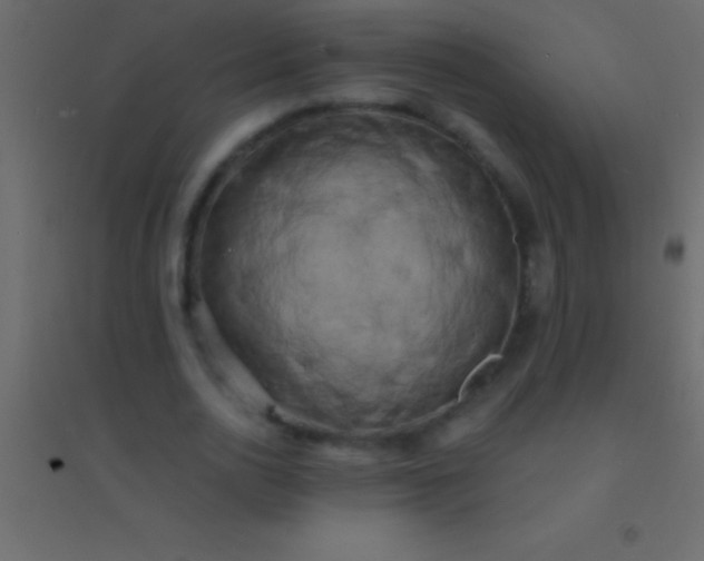 X0000094960726200712131644