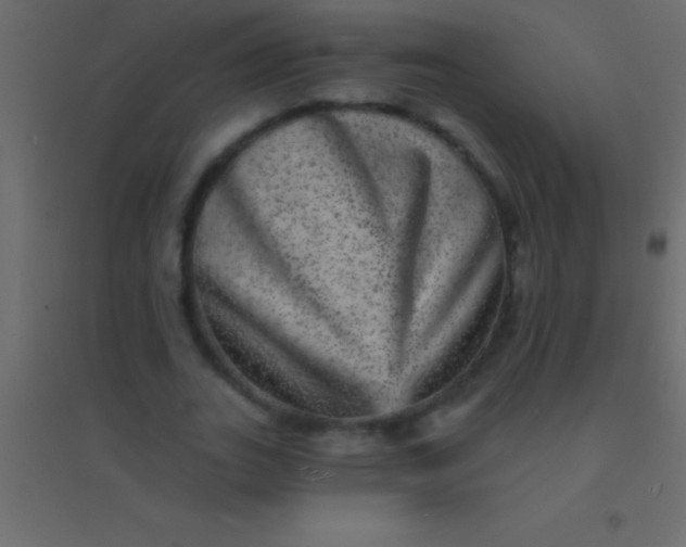 X0000094960727200712131644