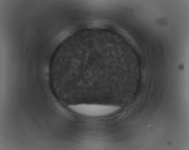 X0000094960729200712131644