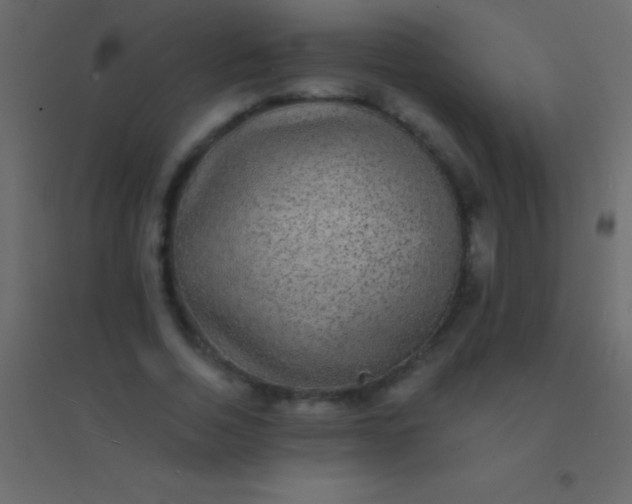 X0000094960730200712131644