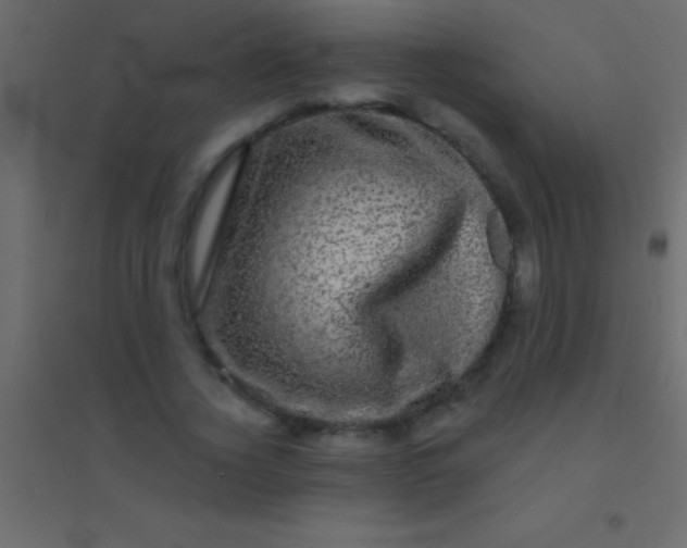 X0000094960732200712131644