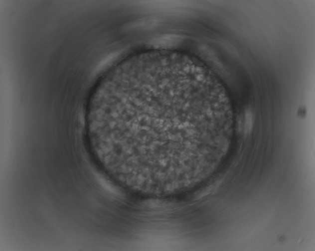 X0000094960733200712131644