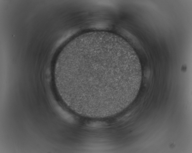 X0000094960734200712131644