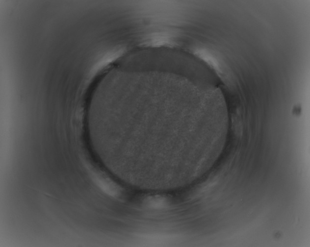 X0000094960735200712131644