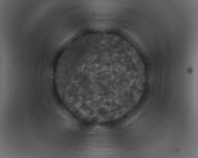 X0000094960737200712131644