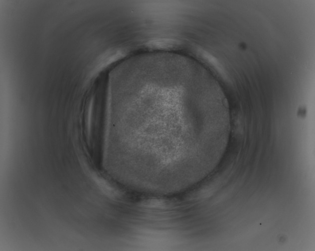 X0000094960738200712131644