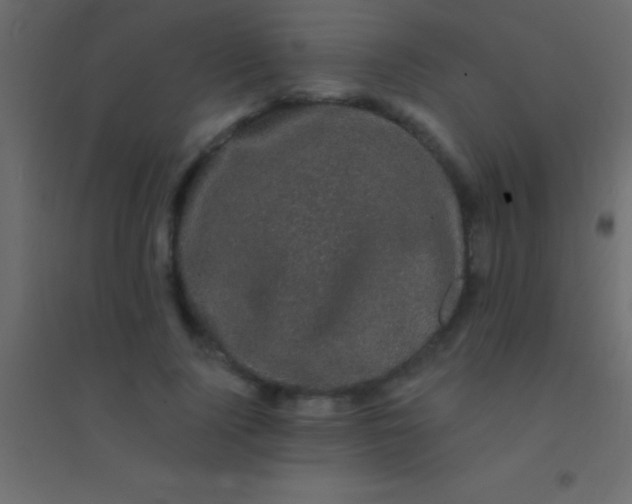 X0000094960740200712131644