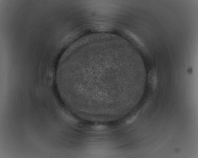 X0000094960741200712131644