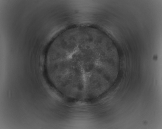 X0000094960742200712131644