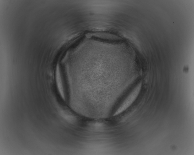 X0000094960743200712131644