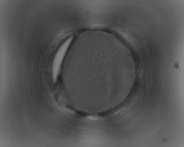 X0000094960744200712131644