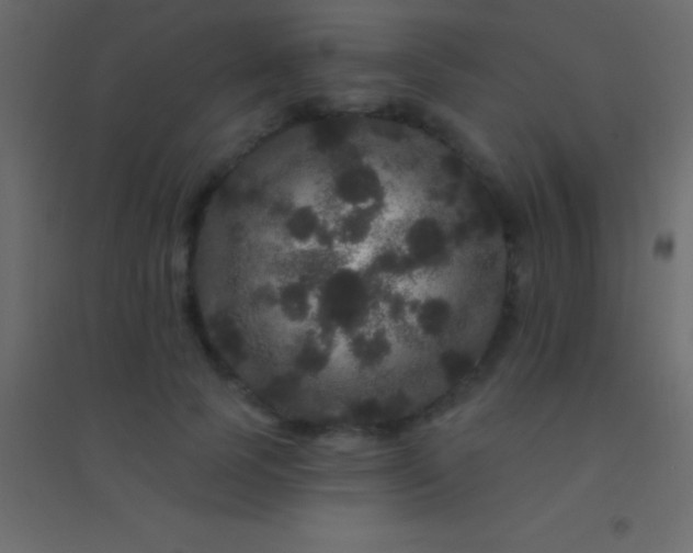 X0000094960745200712131644