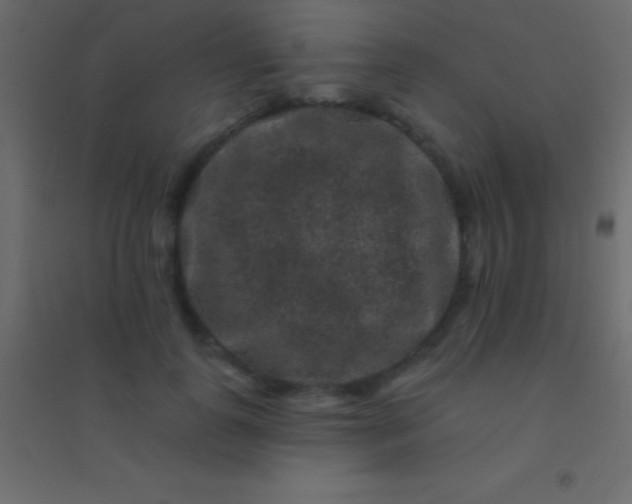 X0000094960747200712131644