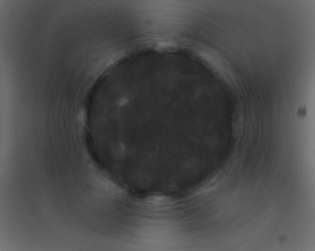 X0000094960748200712131645