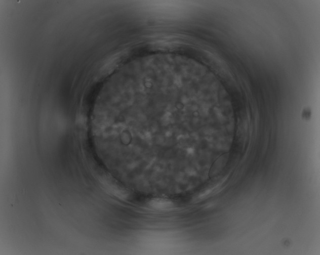 X0000094960749200712131645