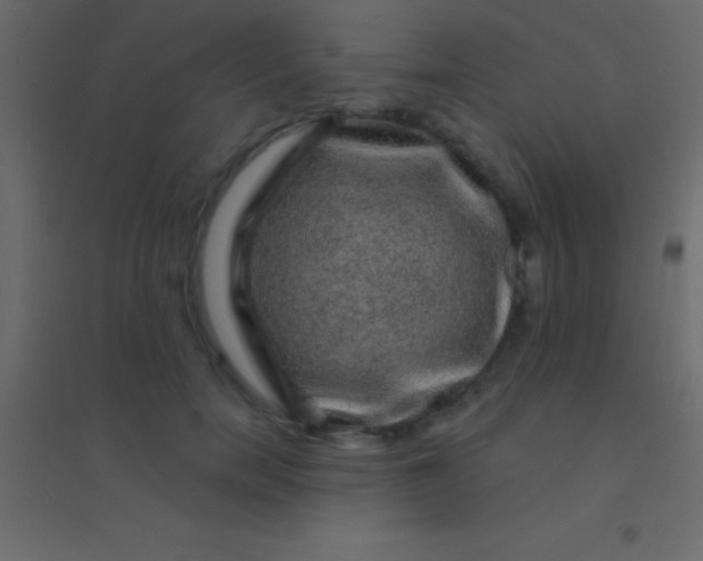 X0000094960750200712131645