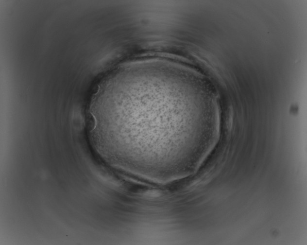 X0000094960751200712131645