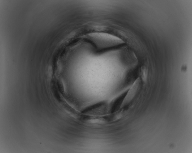 X0000094960752200712131645