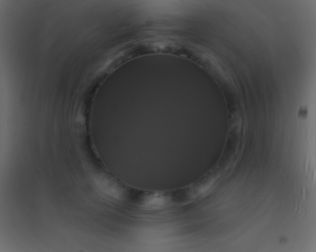 X0000094960754200712131645