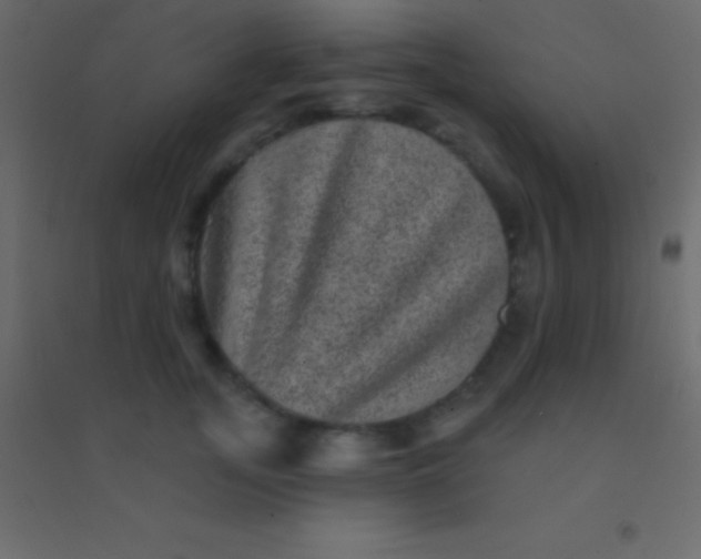 X0000094960755200712131645