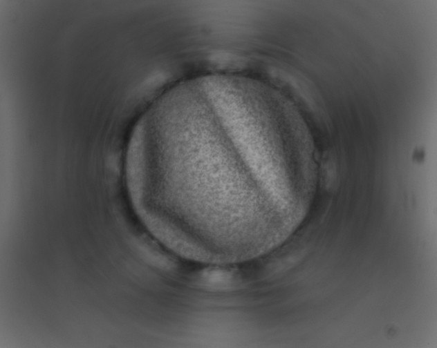 X0000094960756200712131645