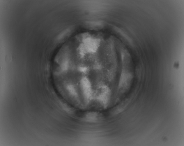 X0000094960757200712131645